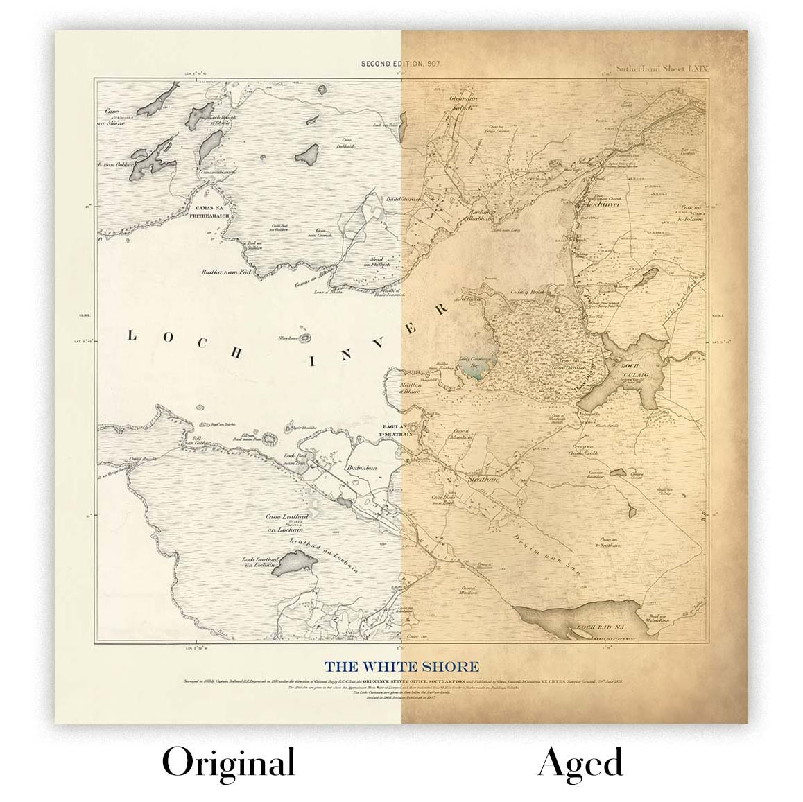 A "Typical Californian&