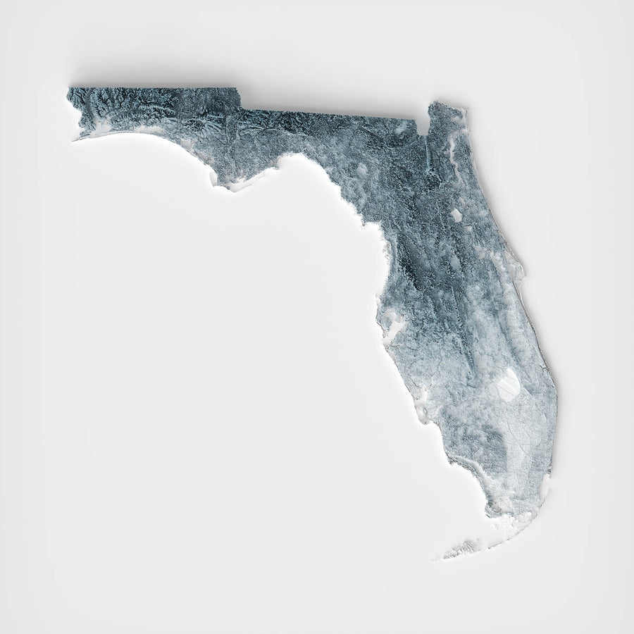 Mappa topografica 3D in rilievo della Florida 