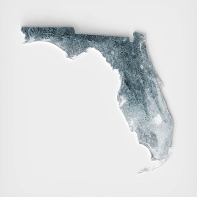 Florida topografische 3D-Reliefkarte 