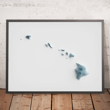 Mappa topografica 3D del rilievo delle Hawaii 