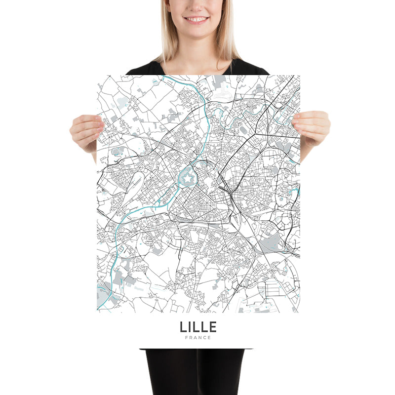 Modern City Map of Lille, France: Vieux-Lille, Palais des Beaux-Arts, Grand Place, A25, N356