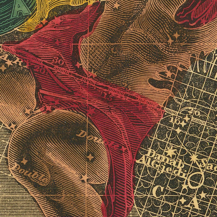 Acquario, Il Portatore d&