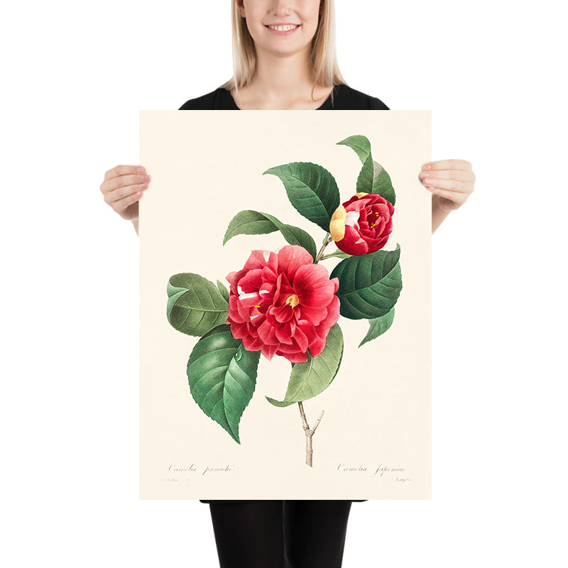 Visualiser thumbnail artwork