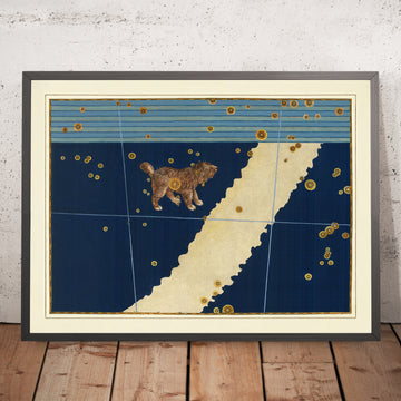 Alter Sternenkarte von Canis Minor (kleiner Hund) von Johann Bayer, 1603 - Himmlische Sternbildkarte 