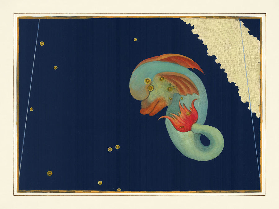 Mappa Stellare Antica del Delfino di Johann Bayer, 1603 - Carta delle Costellazioni Celesti 