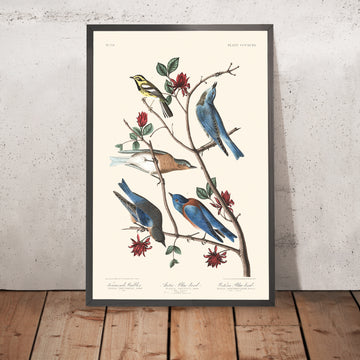 A framed image of Townsend&