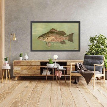 A framed image of 