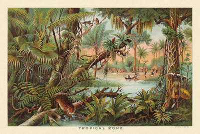 Tropical Zone by Yaggy, 1893