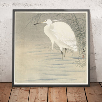 A framed image of 