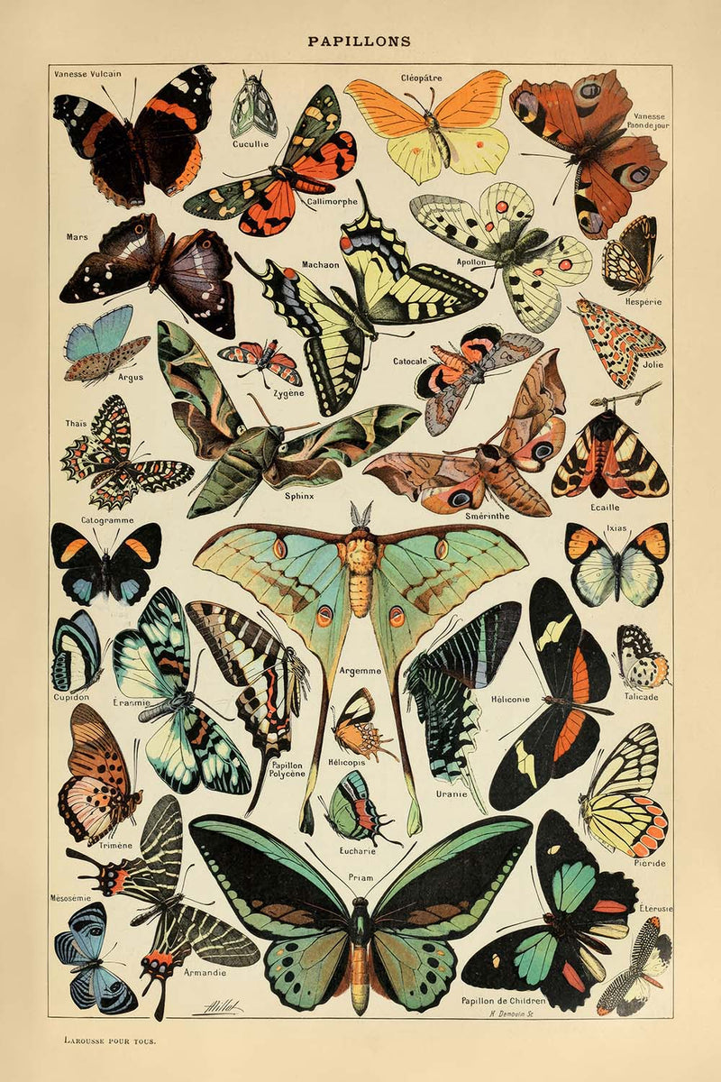 Visualiser thumbnail artwork