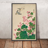 Two Manchurian Great Tits in Flight above Begonia by Ohara Koson, 1929