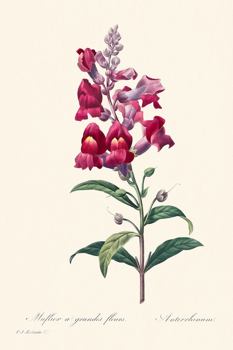 Visualiser thumbnail artwork