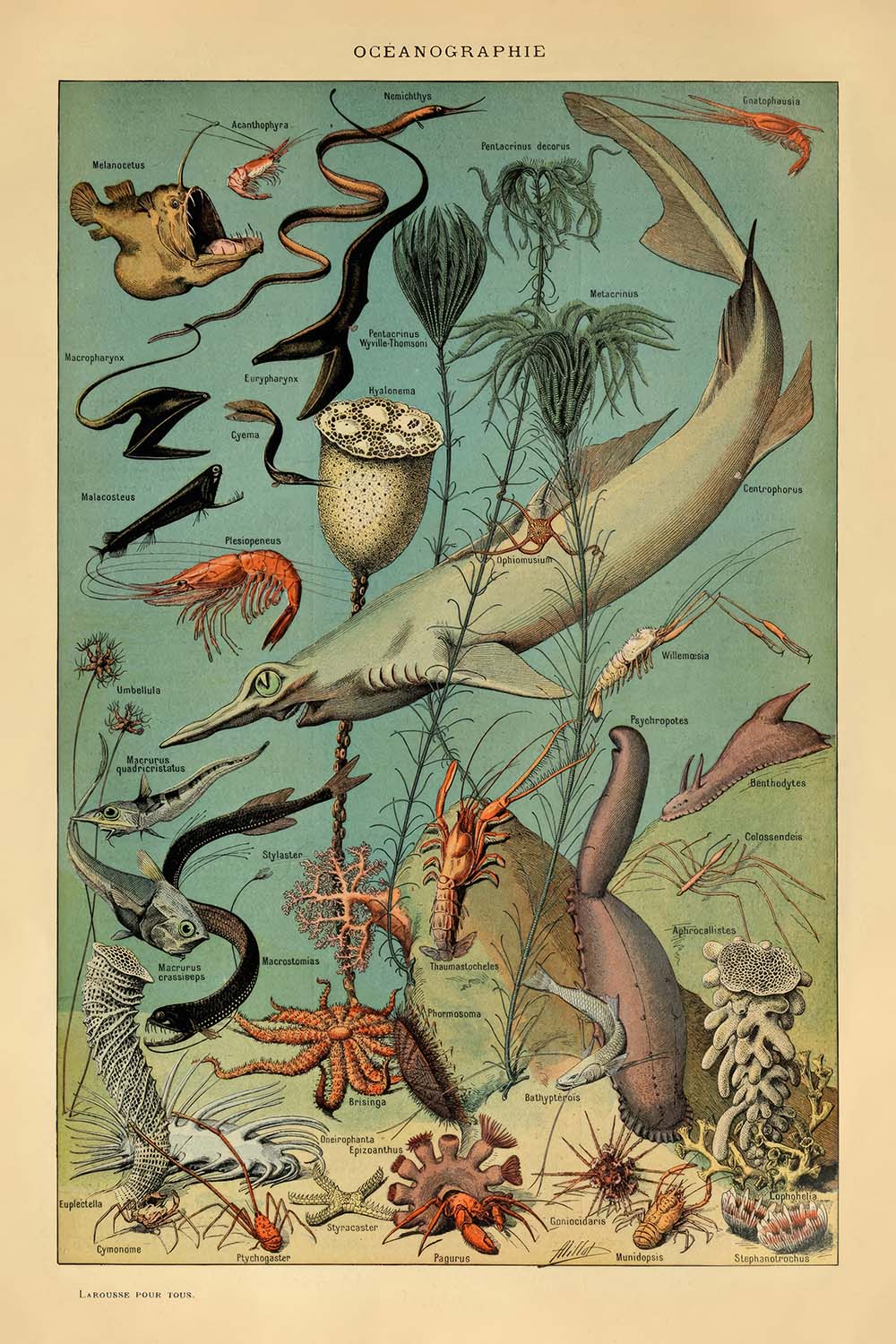 Océanographie par Adolphe Millot 1890 