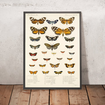 A framed image of 