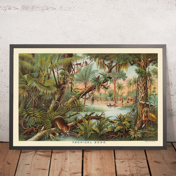 Zone tropicale par Yaggy, 1893 