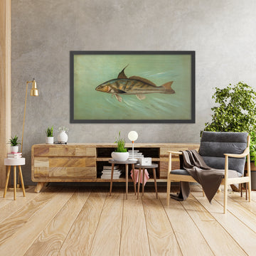A framed image of 