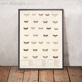 Moths (Lepidoptera-Heterocera, Plate 70) by Frederick DuCane Godman, 1879