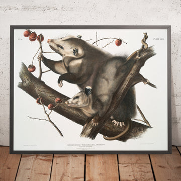 A framed image of 