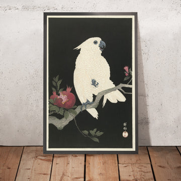 A framed image of 
