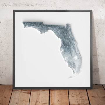 A framed image of a 3D style topographic relief map ofFlorida