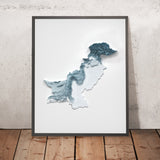 Topografische 3D-Reliefkarte von Pakistan 