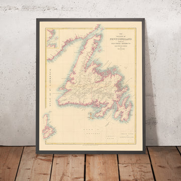 Mapa antiguo de Terranova por Arrowsmith, 1884: St. John&