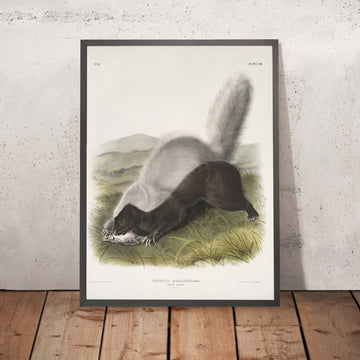 A framed image of 