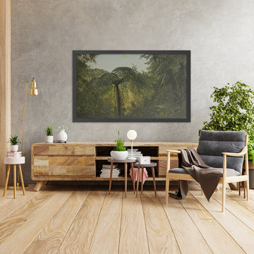A framed image of 