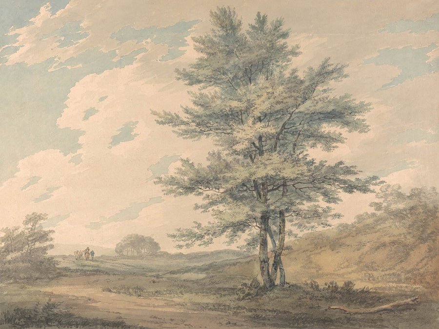 Paesaggio con alberi e figure di Turner, 1796 