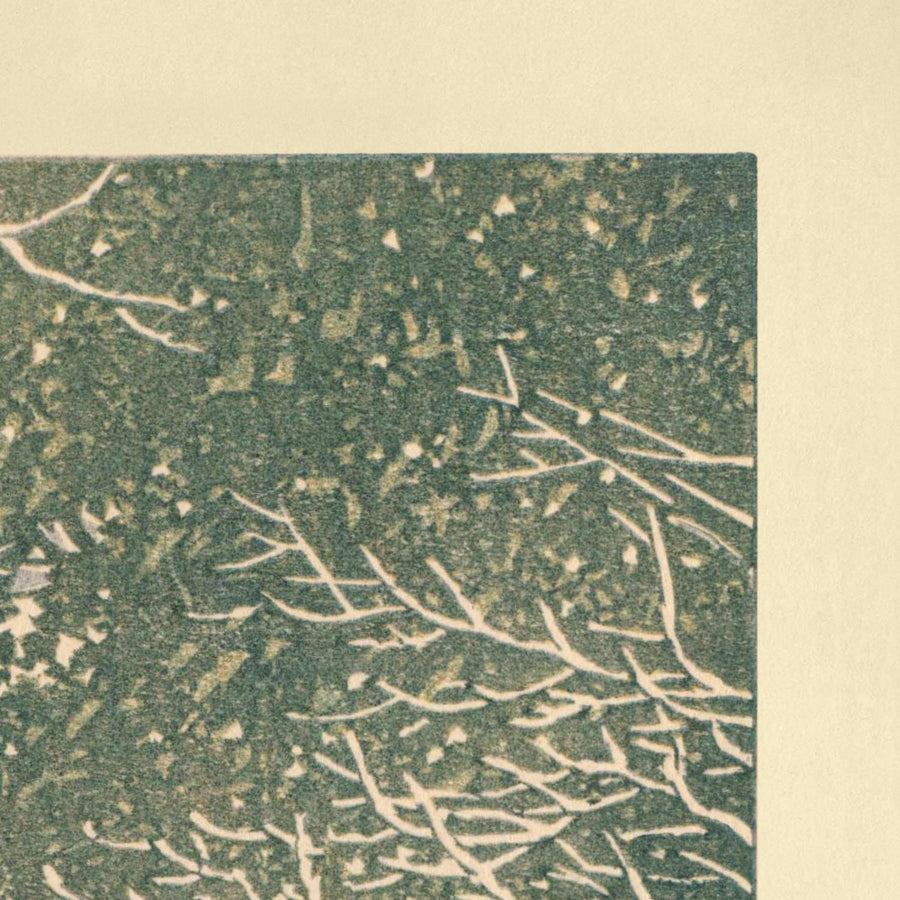 Nieve en el Parque Shiba por Hasui Kawase, 1935 