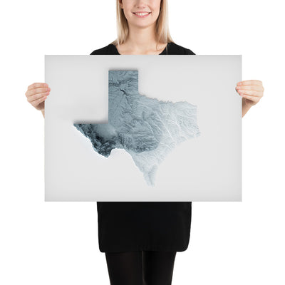 Texas Topographische 3D-Reliefkarte 
