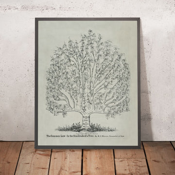 Manifesto dello Studio Legale, 1878: Il Diritto Comune come un Albero di RC Bierce, 1878 