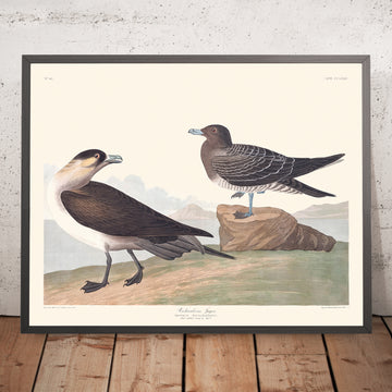 A framed image of Richardson&