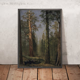The Grizzly Giant Sequoia, Mariposa Grove, California by Albert Bierstadt, 1872