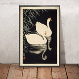 White Chinese Geese Swimming By Reeds by Ohara Koson, 1928