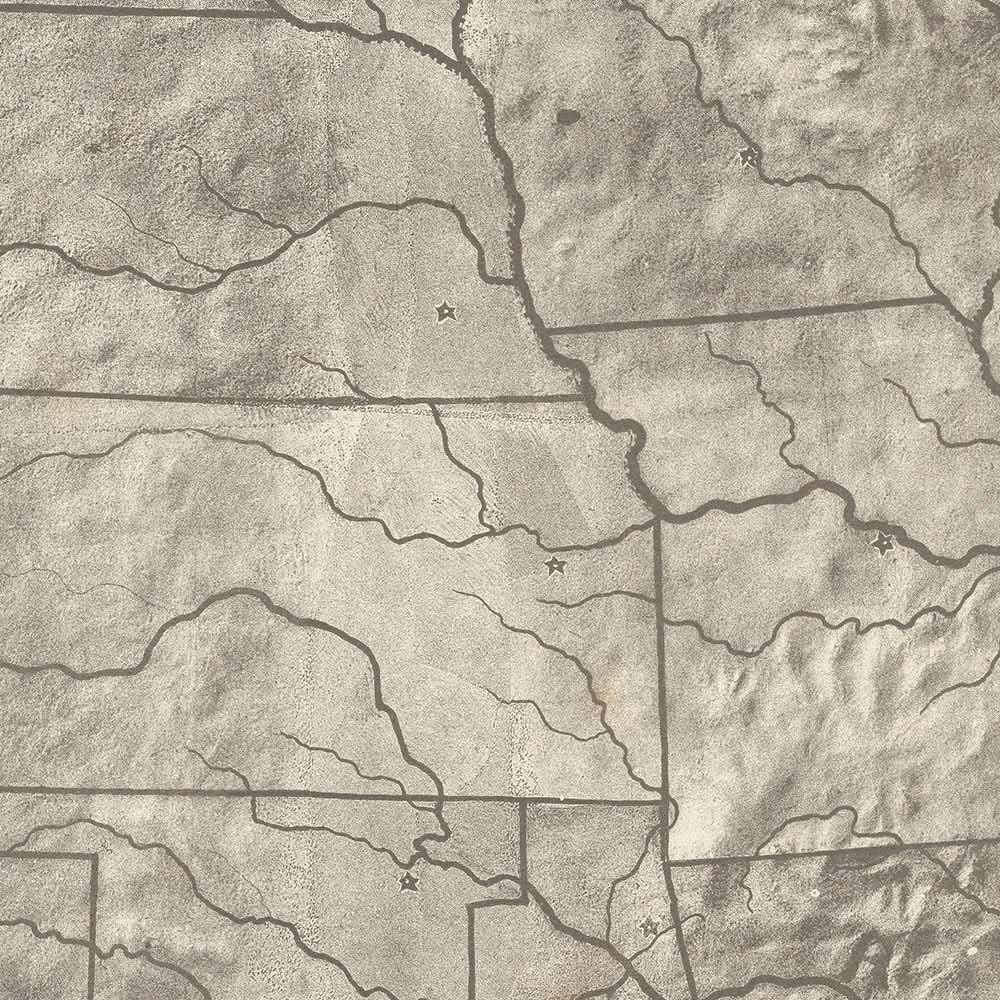 Topographie der Vereinigten Staaten von Amerika von Levi Walter Yaggy, 1893