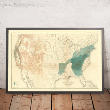 Ancienne carte de la distribution des châtaigniers et des arbres de chinquapin aux États-Unis, 1884 