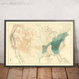 Mapa antiguo de la distribución de los castaños y chinquapines en EE. UU., 1884 