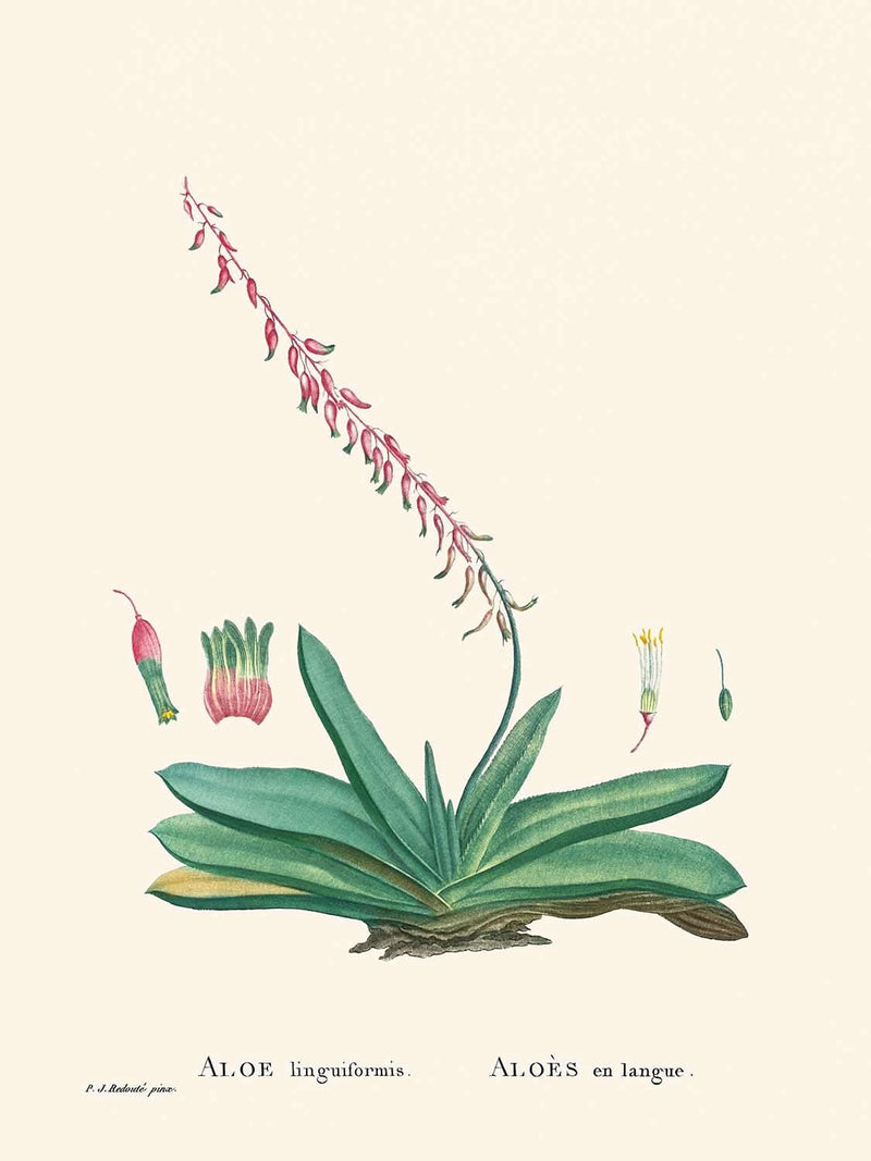 Visualiser thumbnail artwork