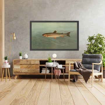 A framed image of 
