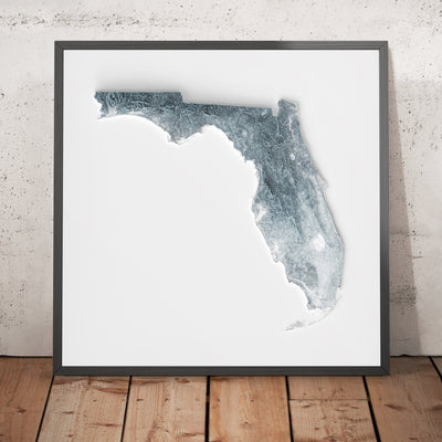 Florida topografische 3D-Reliefkarte 