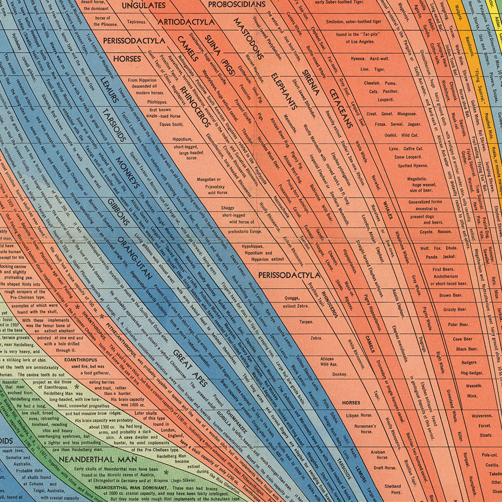Histomap Example The Histomap of Evolution by John B Sparks, 1942: 10 Billion Years of ...