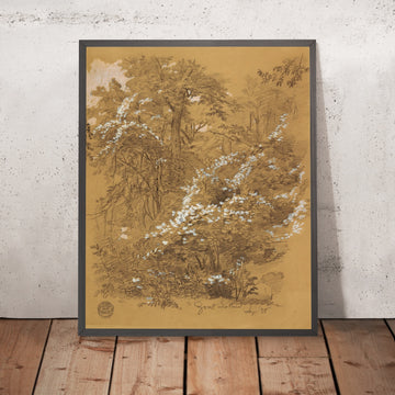 A framed image of 