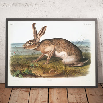 A framed image of 