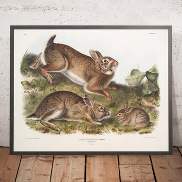 A framed image of 