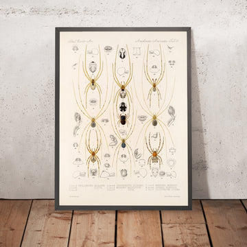 A framed image of 