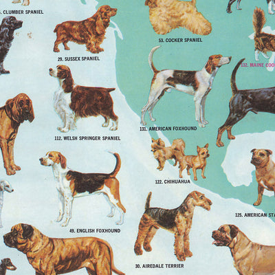 Old Dogs and Cats World Map by Purina, 1973: Global Breeds, 1970s Pet Culture