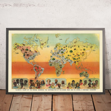 Grafico Climatico del Mondo, 1893: Distribuzione delle Razze Umane, Animali e Vegetazione di Yaggy 