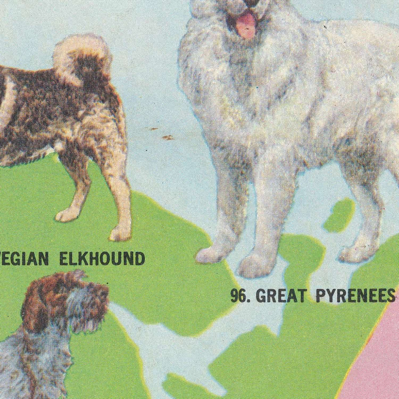 Old Dogs and Cats World Map by Purina, 1973: Global Breeds, 1970s Pet Culture