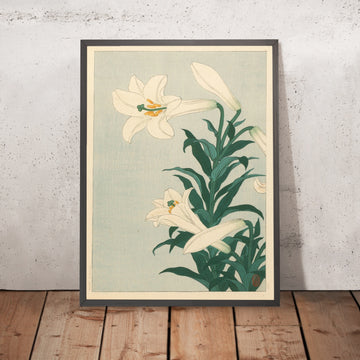 A framed image of 